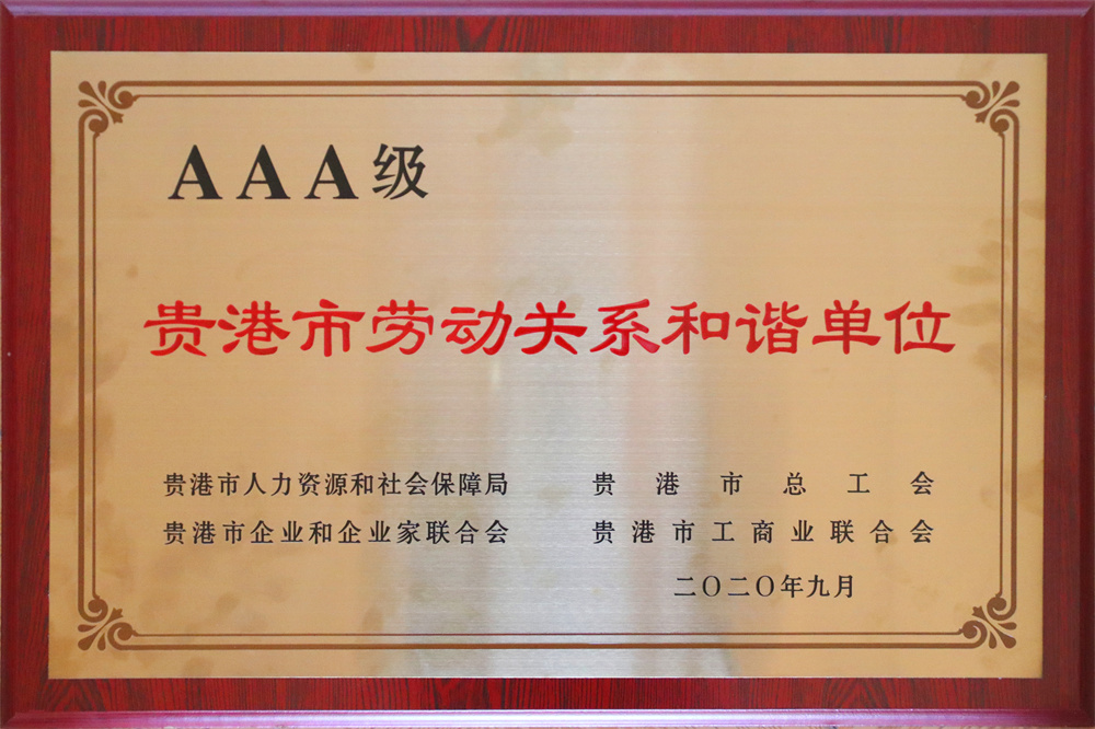 11.2020年度貴港市勞動關系和(and)諧單位.jpg